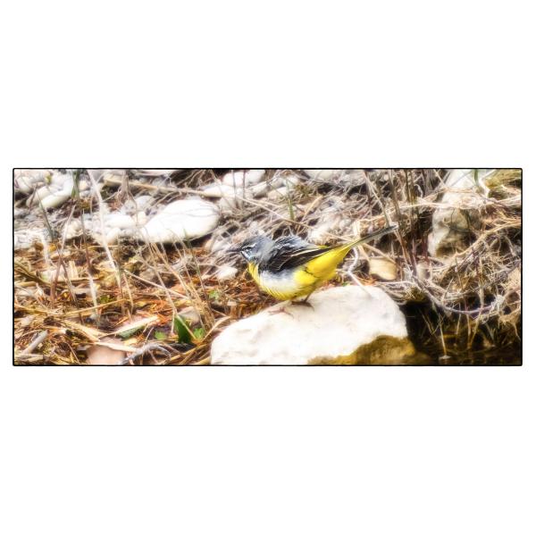 PHOTO84, CLUB, 84 , LUBERON